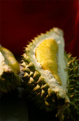 Durian